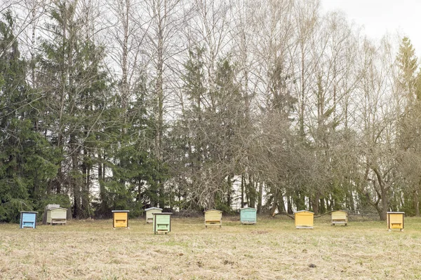 Wooden bee hives in a garden — Stock Photo, Image