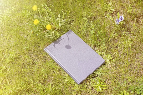 Grijze boek op het gras — Stockfoto