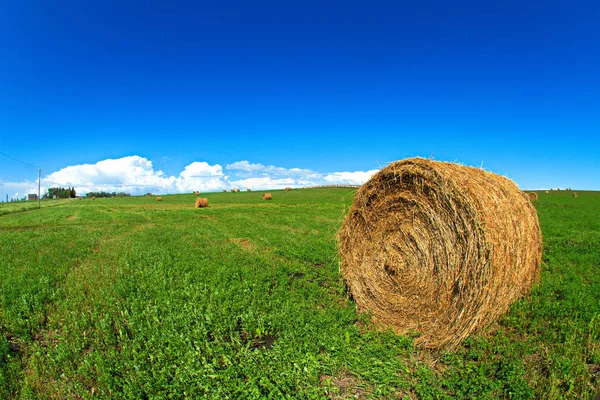 Balle de foin ronde Images De Stock Libres De Droits