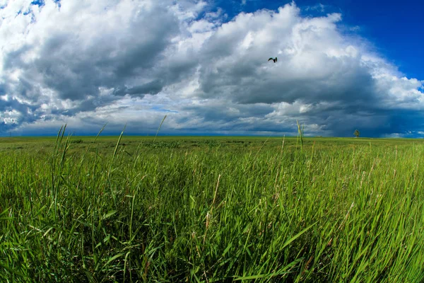 Öppna fältet molnig himmel — Stockfoto