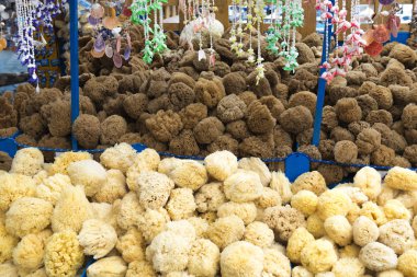 Doğal Banyo süngerleri