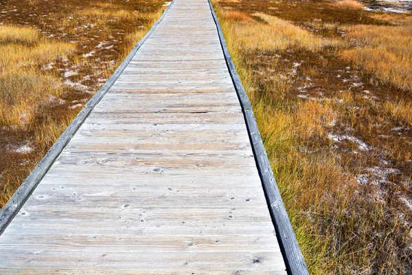 Dřevěný chodník v Yellowstone National Park — Stock fotografie