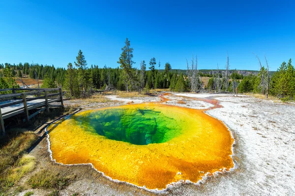 Morning Glory Pool Wide Angle — Stock Photo, Image