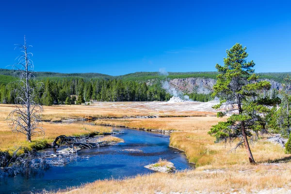 Τοπίο του ποταμού Firehole — Φωτογραφία Αρχείου