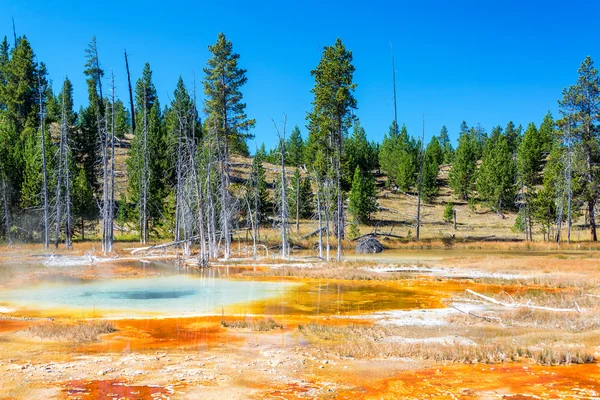 Farverige Yellowstone landskab - Stock-foto