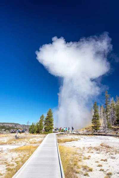 Folla guardando Grande geyser eruzione — Foto Stock