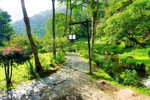 Camino en Santa Rosa de Cabal — Foto de Stock