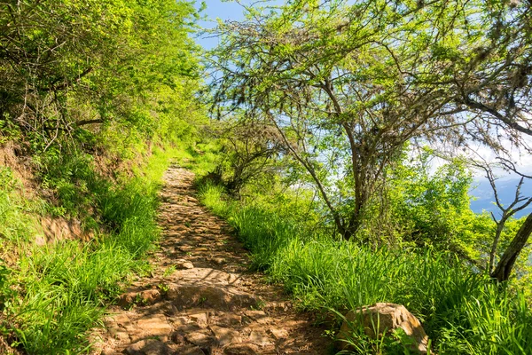 Caminho entre Barichara e Guane — Fotografia de Stock