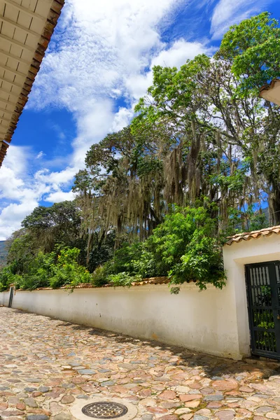 Cobblestone Street and Foliage — Stockfoto