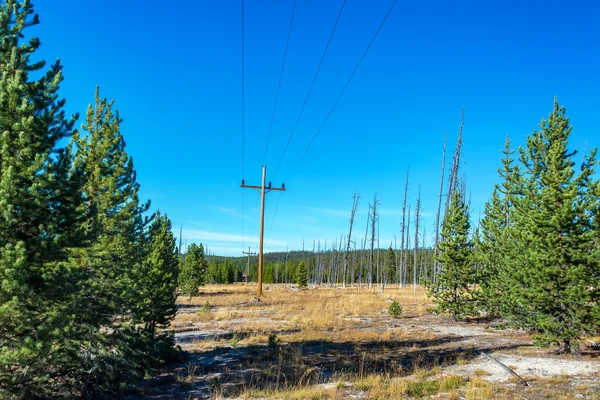 Linie energetyczne w Parku Narodowym Yellowstone — Zdjęcie stockowe