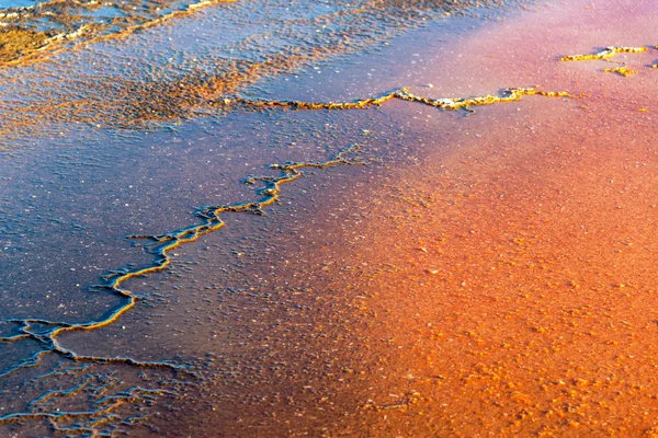 Bacteria Mat detalles — Foto de Stock