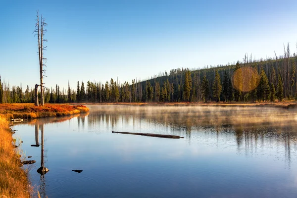 Paysage tôt le matin — Photo