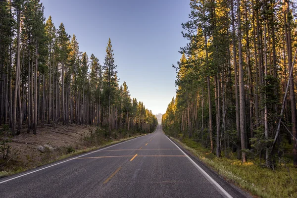 Motorvägen lämnar Yellowstone — Stockfoto