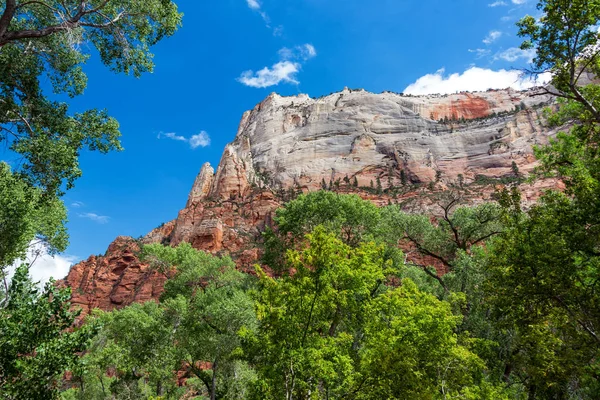 Zion sziklák és a lombozat — Stock Fotó