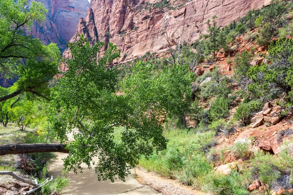 Vista para dentro Zion Canyon — Fotografia de Stock