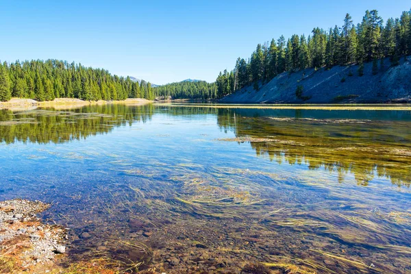 Yellowstone flodlandskap — Stockfoto