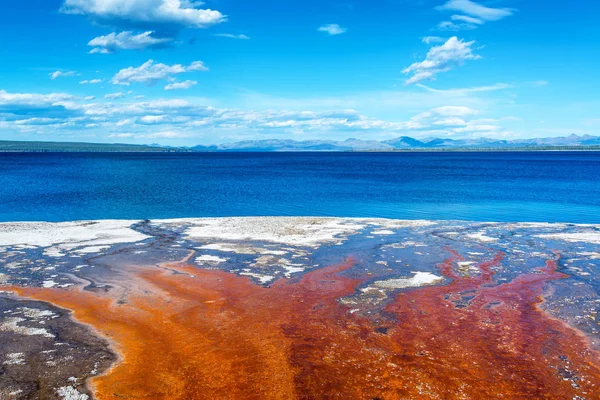 Bakterier matta och Yellowstone Lake — Stockfoto