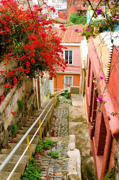 Casas de colores con flores brillantes en Valparasio, Chile — Foto de Stock