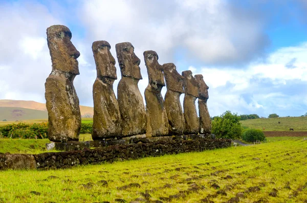 Семь статуй Моаи — стоковое фото