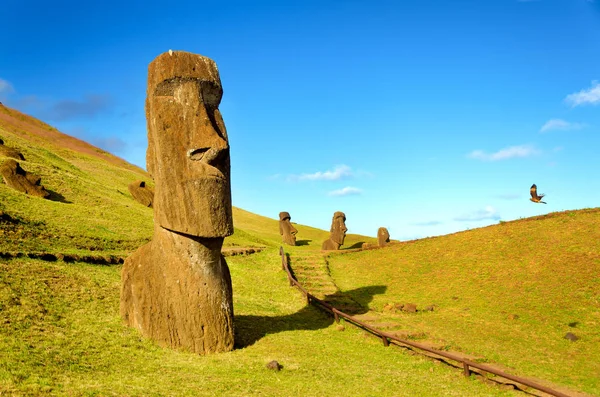 Moai en las colinas de la Isla de Pascua — Foto de Stock