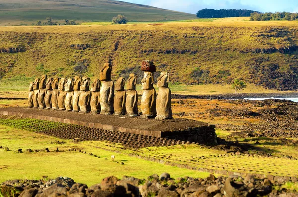 Σειρά των Moai — Φωτογραφία Αρχείου