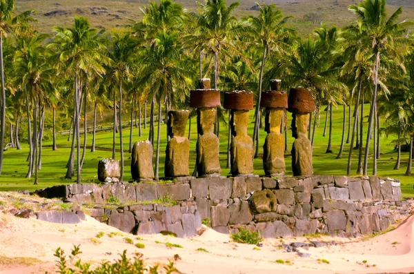 Moai bir plajda — Stok fotoğraf