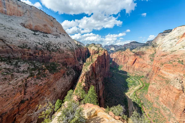 Parque Nacional Zion gran angular — Foto de Stock