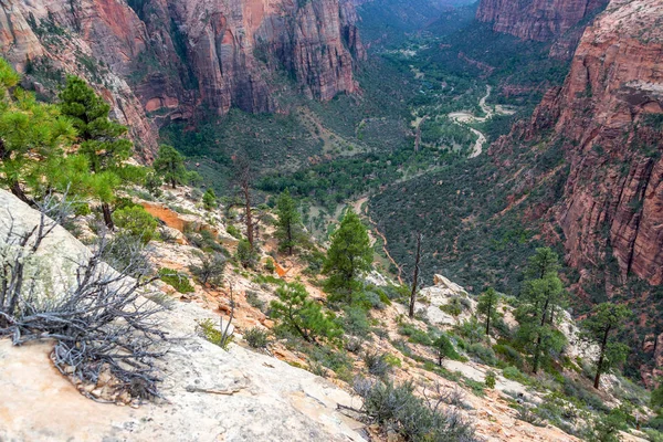 Blick in den Zion Canyon — Stockfoto