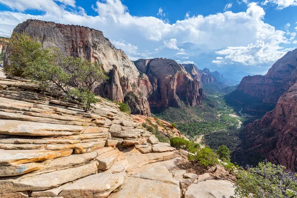 Zion canyon táj — Stock Fotó