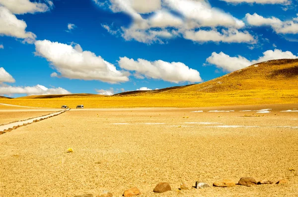 Gelbe chilenische Landschaft — Stockfoto