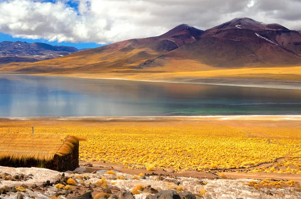 Frozen Lake Miscanti — Stock Photo, Image