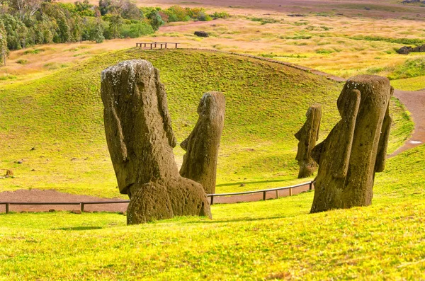 Moai-statuer på Påskeøya – stockfoto