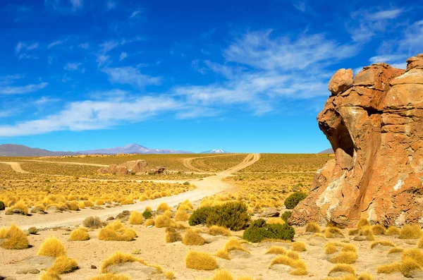 Polní cesta poblíž Uyuni, Bolívie — Stock fotografie