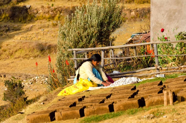 Frau mit Kartoffeln in Bolivien — Stockfoto