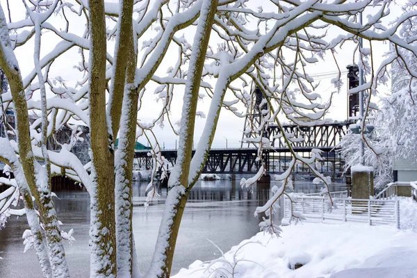 Snow and Steel Bridge — Stock Photo, Image