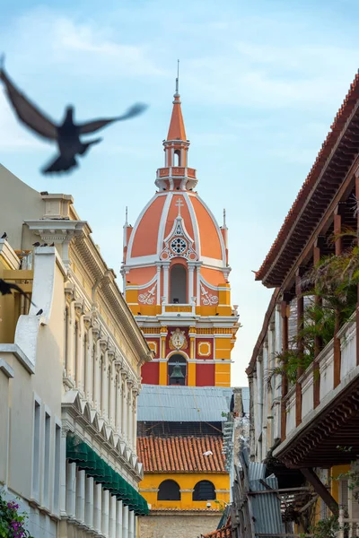 Katedral ve güvercin — Stok fotoğraf