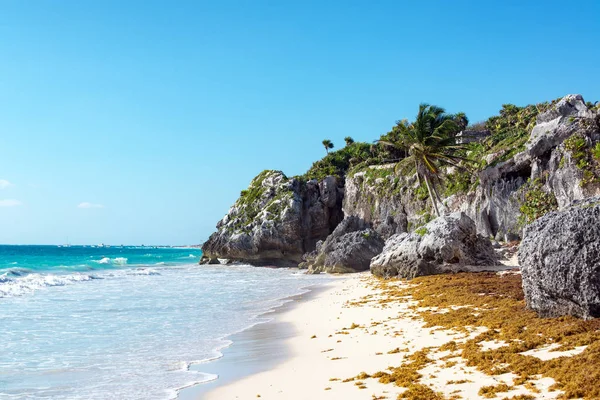 Deserted Tropical Beach — Stock Photo, Image