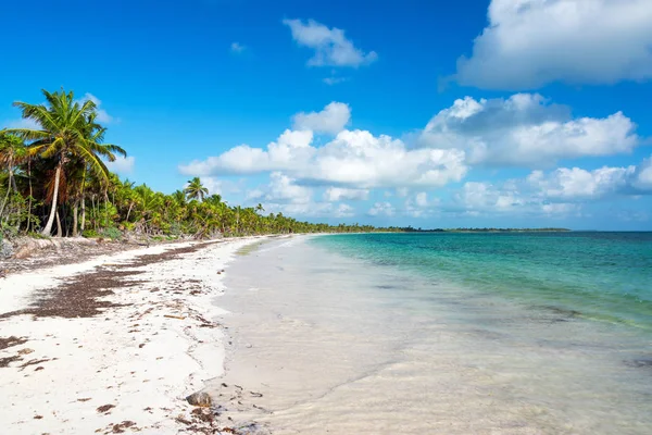 Hermosa playa caribeña —  Fotos de Stock