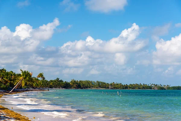 Tropisch strand in Punta Allen — Stockfoto