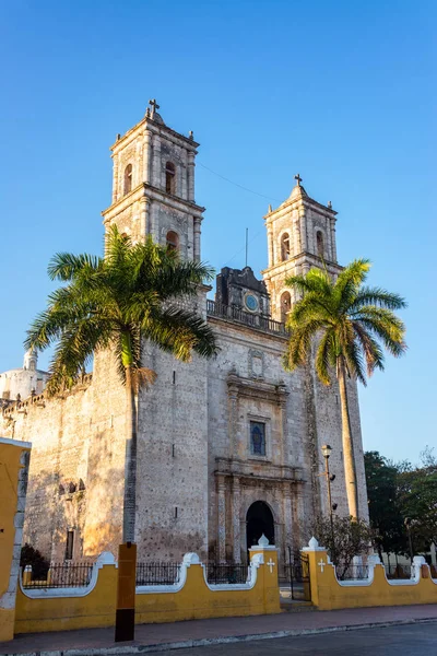 Palmbomen en kathedraal — Stockfoto