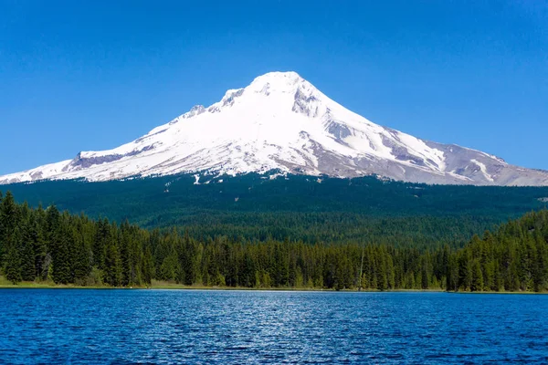 Trillium Lake och Mount Hood — Stockfoto