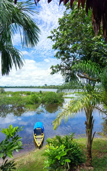 Canoe in Amazon Rainforest — Stock Photo, Image