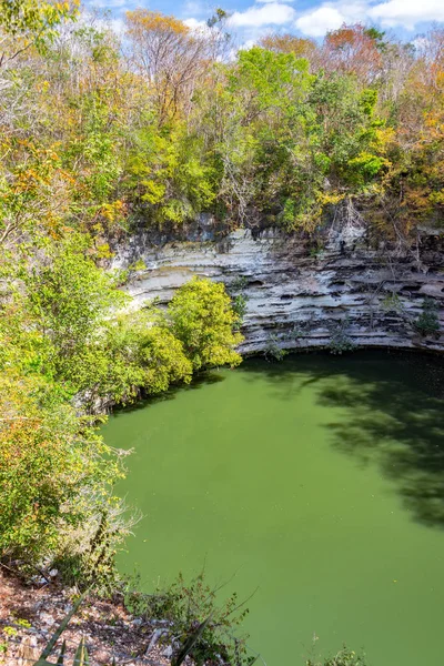 Vista Vertical do Cenote Sagrado — Fotografia de Stock