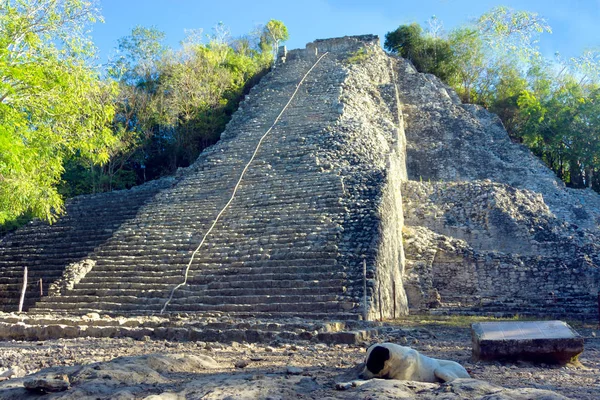 Nohoch Mul Pyramid — Stock Photo, Image