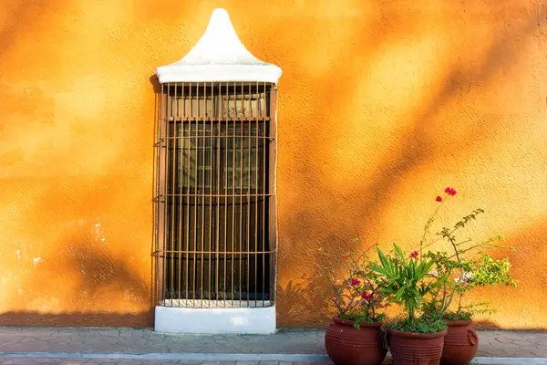 Plantas e Muro Colonial — Fotografia de Stock