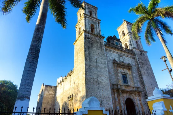 Kathedraal en palm bomen — Stockfoto