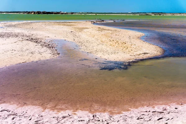 Landschap in de buurt van Rio Lagartos, Mexico — Stockfoto