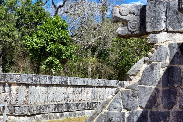 Plataforma de la vista de cráneos —  Fotos de Stock