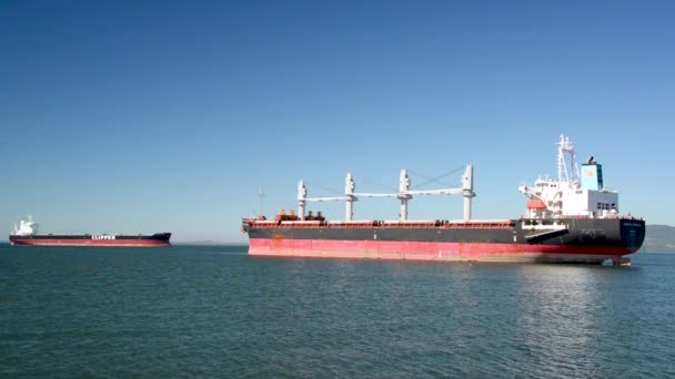 Cargo Ships on Columbia River — Stock Video