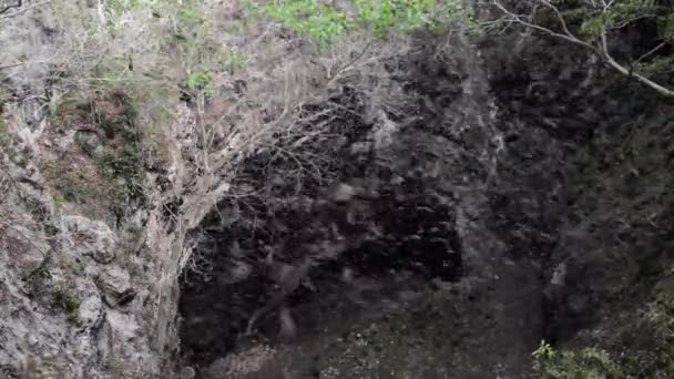 Cueva de murciélagos Zotz — Vídeos de Stock